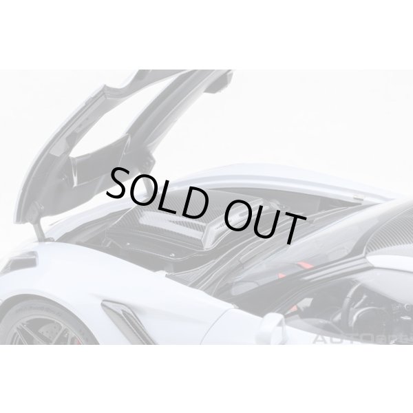 画像11: AUTOart 1/18 Chevrolet Corvette (C7) ZR1 (Gray Metallic) (11)