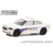 画像1: GREEN LiGHT EXCLUSIVE 1/64 2014 Dodge Charger - Kennedy Space Center (KSC) Security Patrol (1)