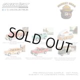 画像: GREEN LiGHT 1/64 Smokey Bear Series 3