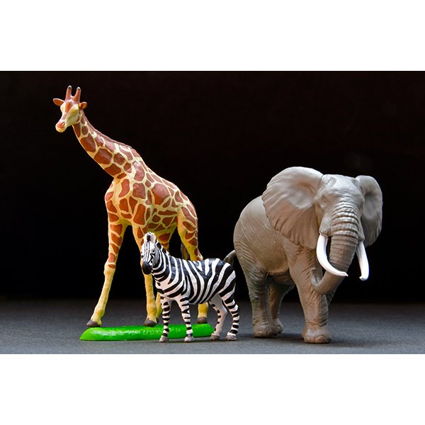 画像6: TOMYTEC 1/64 "Kaiyodo (海洋堂)" x "Tomica Limited Vintage" Diorama Collection 64 #CarSnap28a Safari 1 (with Toyota Land Cruiser FJ56V) (6)