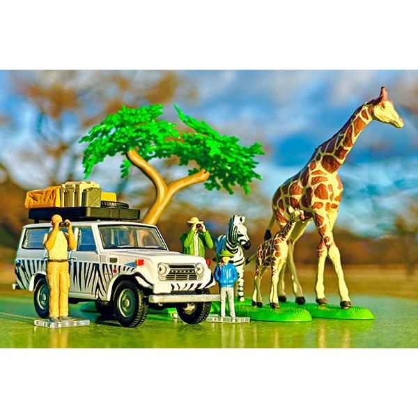 画像2: TOMYTEC 1/64 "Kaiyodo (海洋堂)" x "Tomica Limited Vintage" Diorama Collection 64 #CarSnap28a Safari 1 (with Toyota Land Cruiser FJ56V) (2)