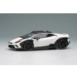 画像1: EIDOLON 1/43 Lamborghini Huracan Sterrato 2024 Matte White / Red Black Stripe Limited 60 pcs. (1)