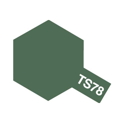 画像1: TS-78 フィールドグレイ (1)