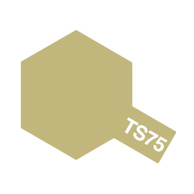 画像1: TS-75 シャンパンゴールド (1)